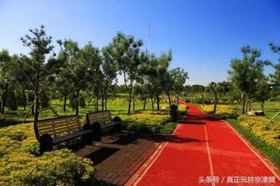 北京房山竟然有一個(gè)景色絕美的原生態(tài)公園,滿園清新空氣沁人心脾