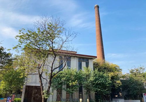 嶺南股份助力鳒魚洲煥新顏