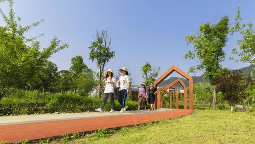 最美 無廢 南川區(qū)濱河公園喜提新稱號(hào)