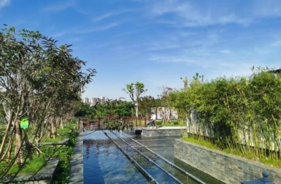 高質量發展調研行 綠樹 草坪 小涼亭 污水處理廠也是口袋公園