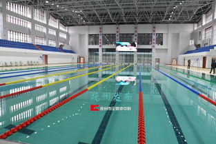 建室內游泳館 郊野公園 污水處理廠 東鄉這兒大做水文章