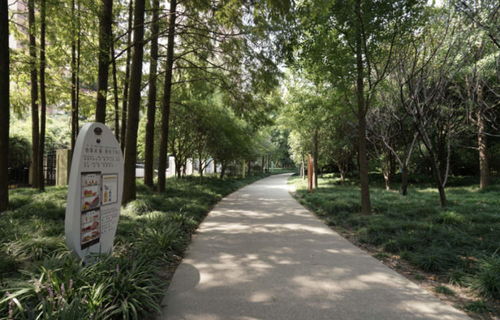 逛公園就能 遇見 食品安全知識(shí) 全市首家食品安全主題廣場亮相徐匯