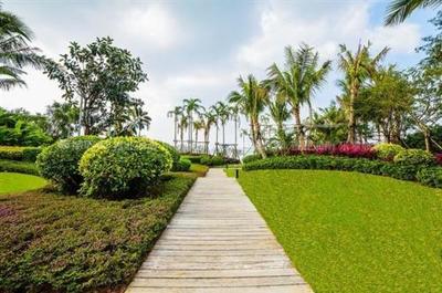 中福實業聯手東方園林拓展平潭島景觀綠化業務