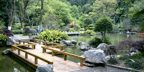 重慶峰宇園林建設|重慶園林規(guī)劃設計|重慶園林施工|重慶城市園林綠化|重慶花卉苗木|重慶園藝產品|重慶花木租售