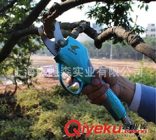 電動園藝剪刀 電動剪刀、果樹電動修枝剪批發(fā)、園林園藝修枝剪批發(fā)、樹枝修剪機圖片|電動園藝剪刀 電動剪刀、果樹電動修枝剪批發(fā)、園林園藝修枝剪批發(fā)、樹枝修剪機產品圖片由上海杰魁森實業(yè)公司生產提供-