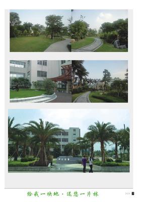 中山佳晨實業園林景觀工程-廣州園中園綠化景觀提供中山佳晨實業園林景觀工程的相關介紹、產品、服務、圖片、價格園中園綠化|廣州綠化|綠化養護|綠化工程|園林綠化|綠化施工|廣州園林綠化|園林規劃設計、園林規劃設計、綠化施工、養護管理、綠植租擺與產銷、廣州園林規劃設計、廣州養護管理、