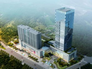 四川藍圖 未來五年打造最美農業主題公園、國際康養城、文化特色街區與園林實業